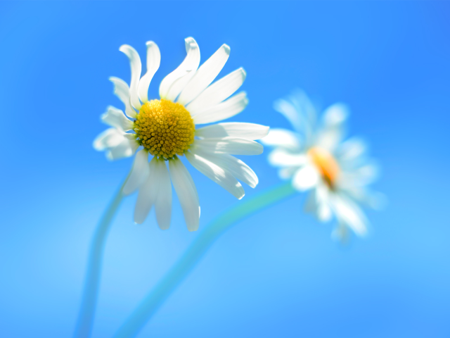 win8-640x480.png (312176 bytes)